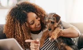 Apartments for Rent Pets Allowed — Your Guide to Finding Pet-Friendly Living in the US