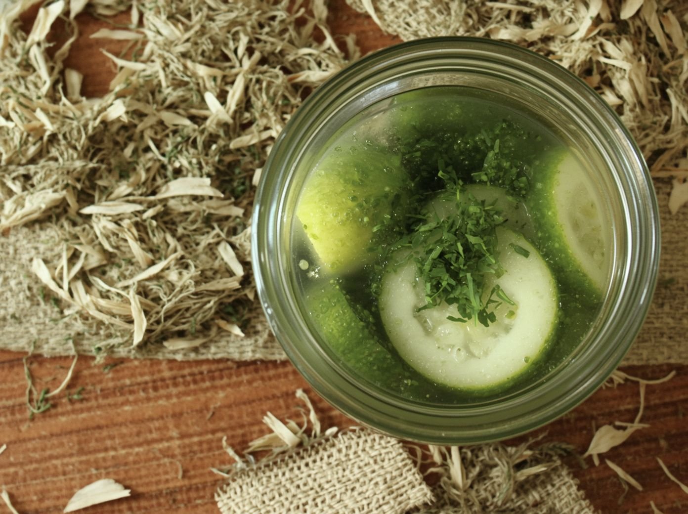 quick-refrigerator-pickle-recipe